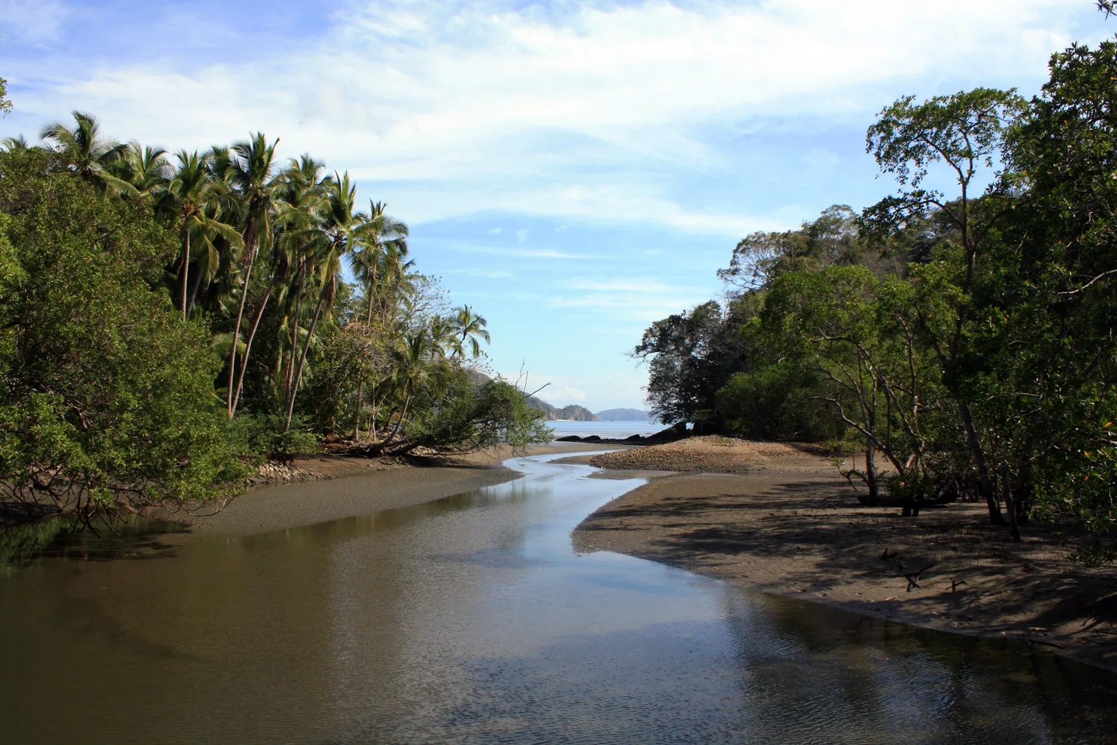Paquera – 4
