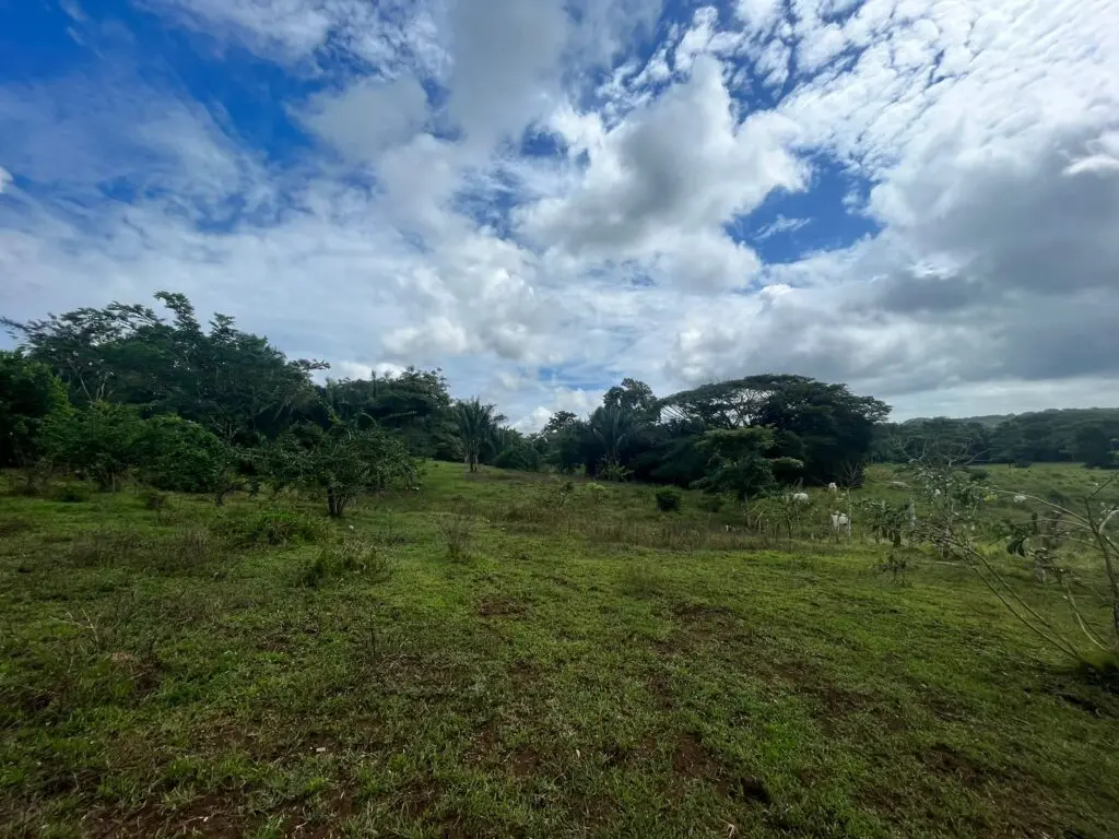 Prime Manzanillo Commercial Real Estate photo 3