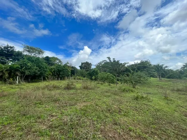 Prime Manzanillo Commercial Real Estate photo 4