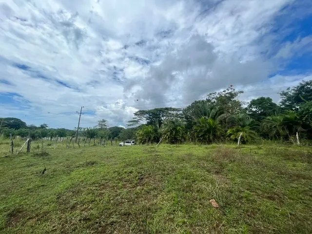 Prime Manzanillo Commercial Real Estate photo 5