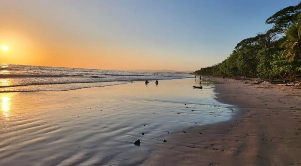 Prime 9.54-Acre Lot in Manzanillo photo 12