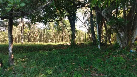 Prime 9.54-Acre Lot in Manzanillo in Manzanillo, Costa Rica