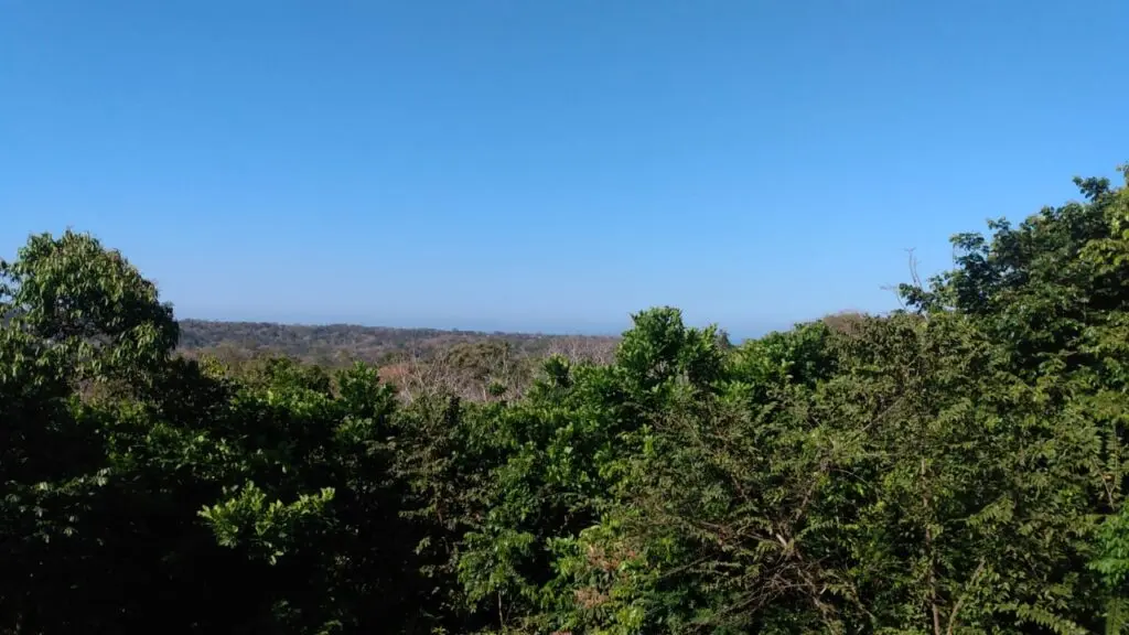 Prime 9.54-Acre Lot in Manzanillo photo 11