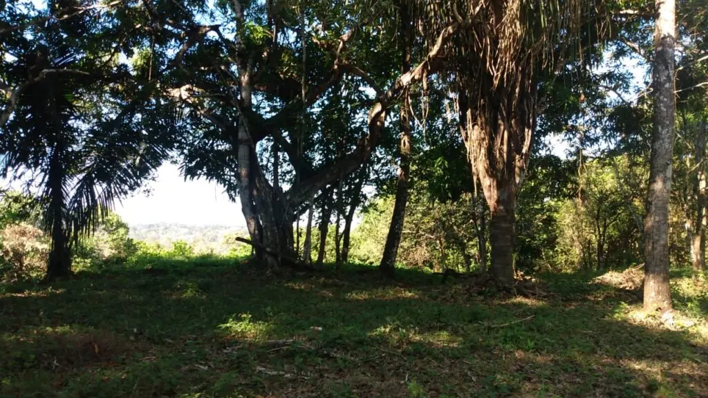 Prime 9.54-Acre Lot in Manzanillo photo 5