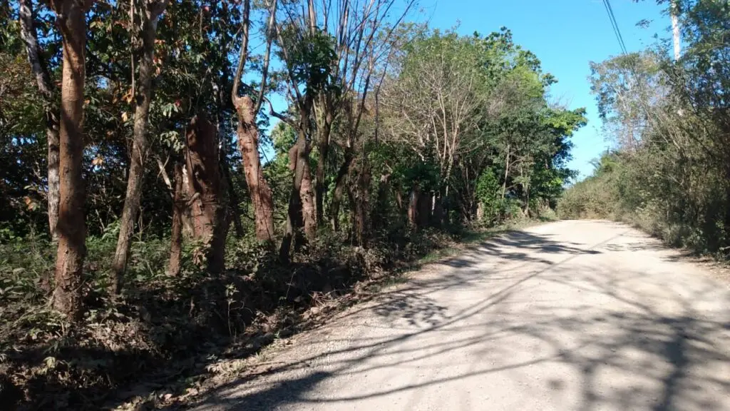 Prime 9.54-Acre Lot in Manzanillo photo 4