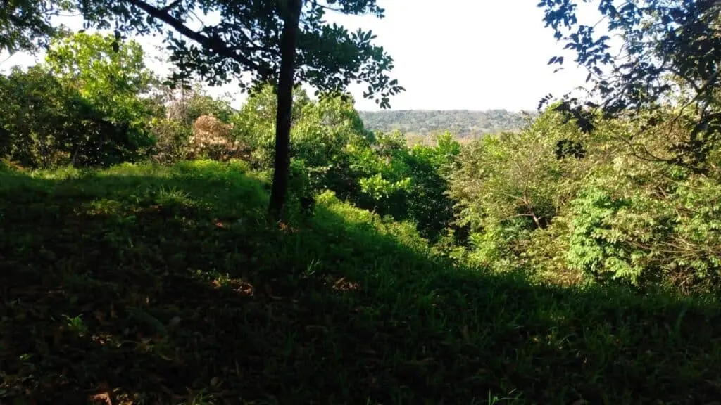 Prime 9.54-Acre Lot in Manzanillo photo 10