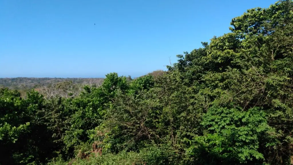 Prime 9.54-Acre Lot in Manzanillo photo 7