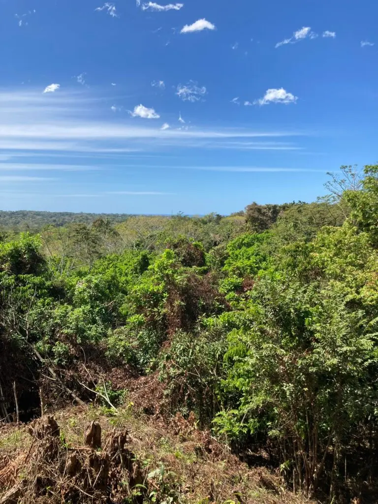 Prime 9.54-Acre Lot in Manzanillo photo 8