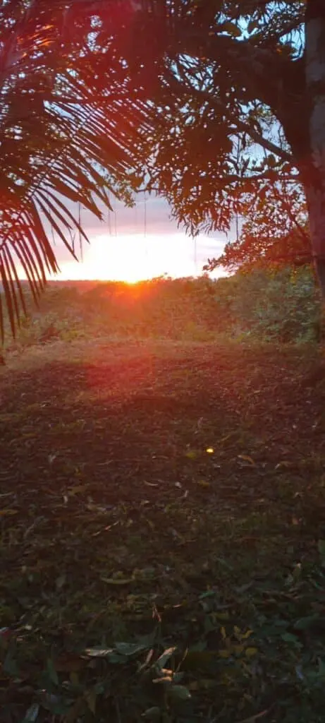Prime 9.54-Acre Lot in Manzanillo photo 9