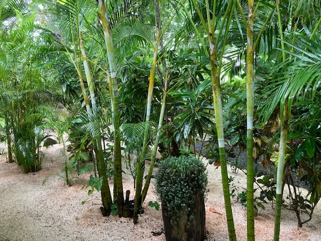 Luxury Lodge in Nicoya Peninsula photo 27