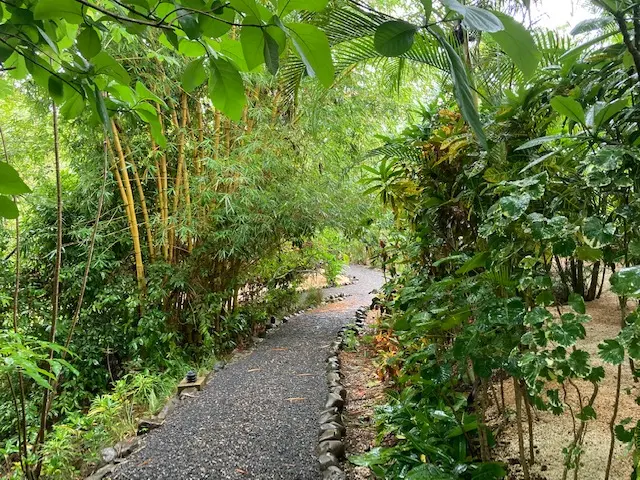 Luxury Lodge in Nicoya Peninsula photo 26