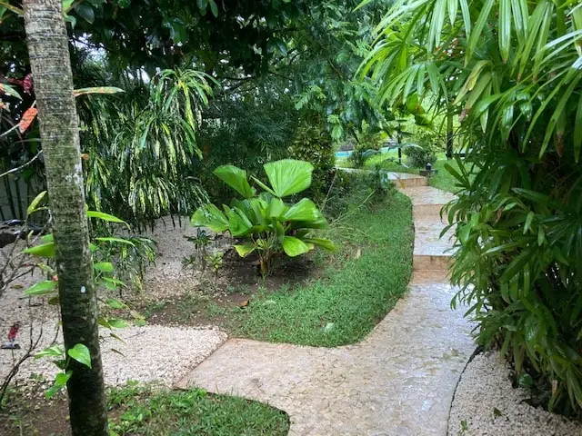 Luxury Lodge in Nicoya Peninsula photo 23
