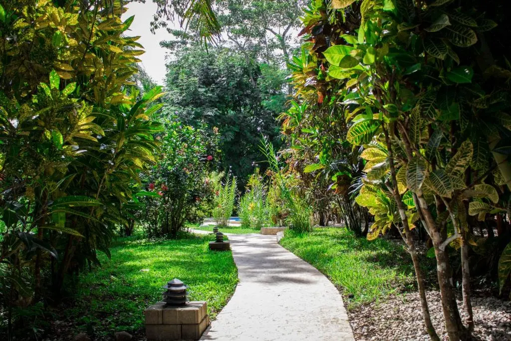 Luxury Lodge in Nicoya Peninsula photo 25