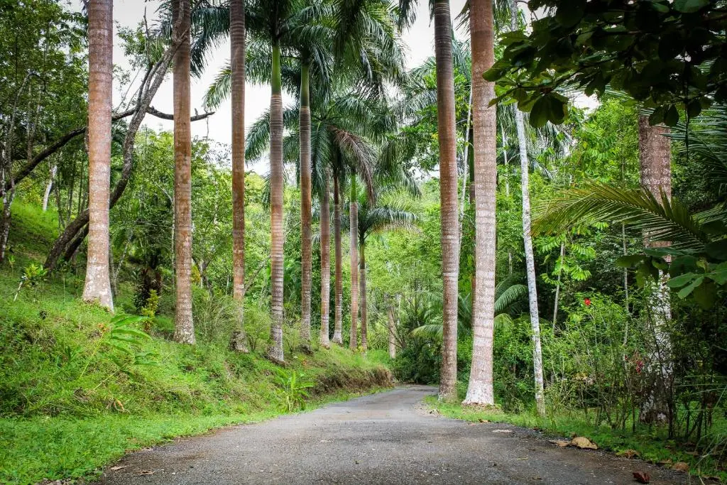 Luxury Lodge in Nicoya Peninsula photo 28