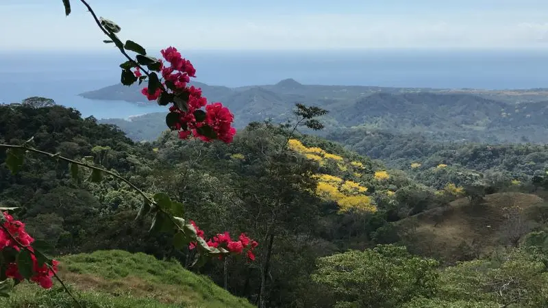 Spectacular Ocean View Villas in Tambor photo 8