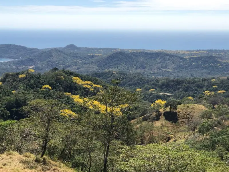 Spectacular Ocean View Villas in Tambor photo 9
