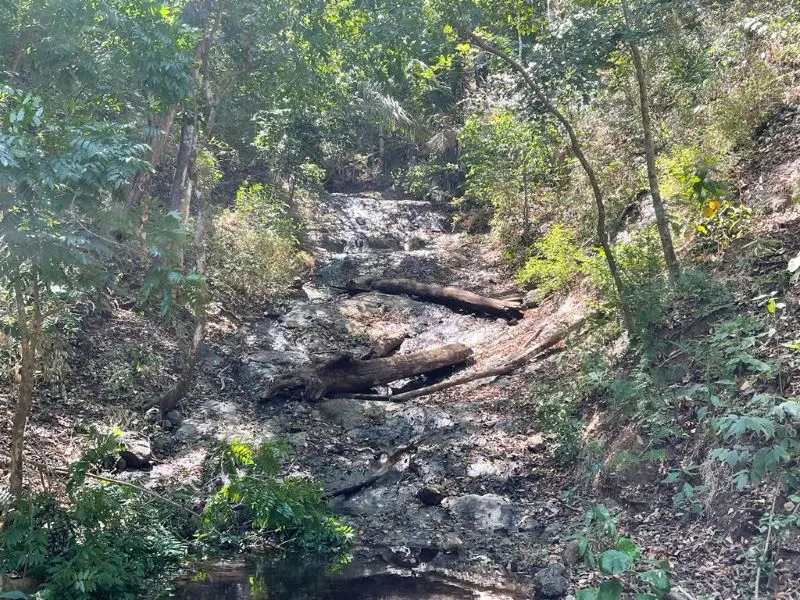 Ocean View Finca in Nicoya photo 11