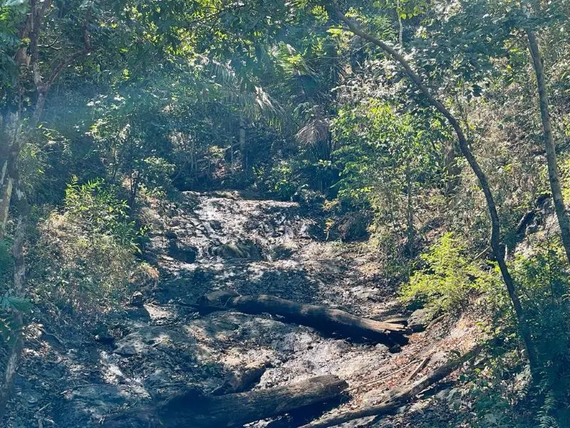 Ocean View Finca in Nicoya photo 12