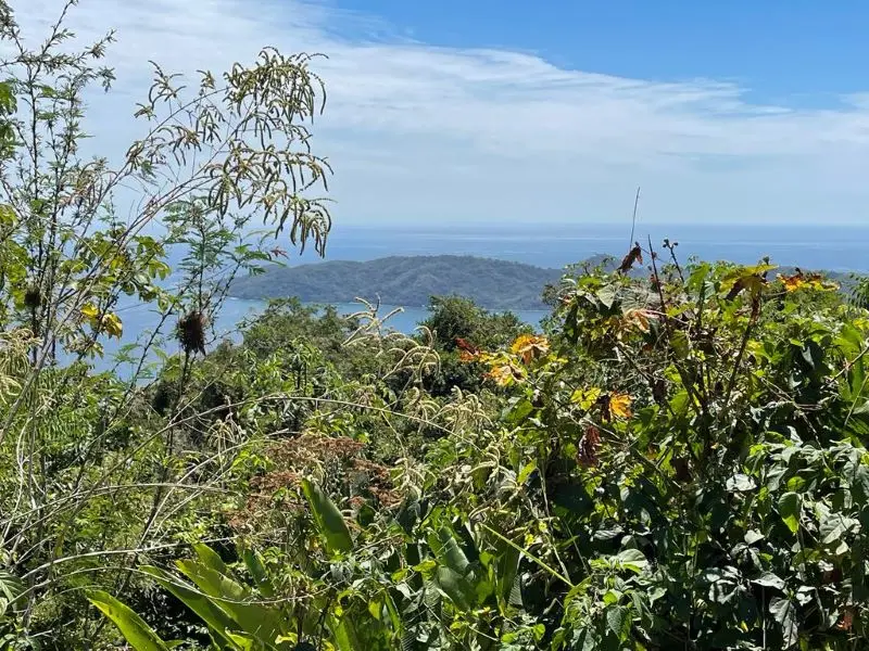 Ocean View Finca in Nicoya photo 9
