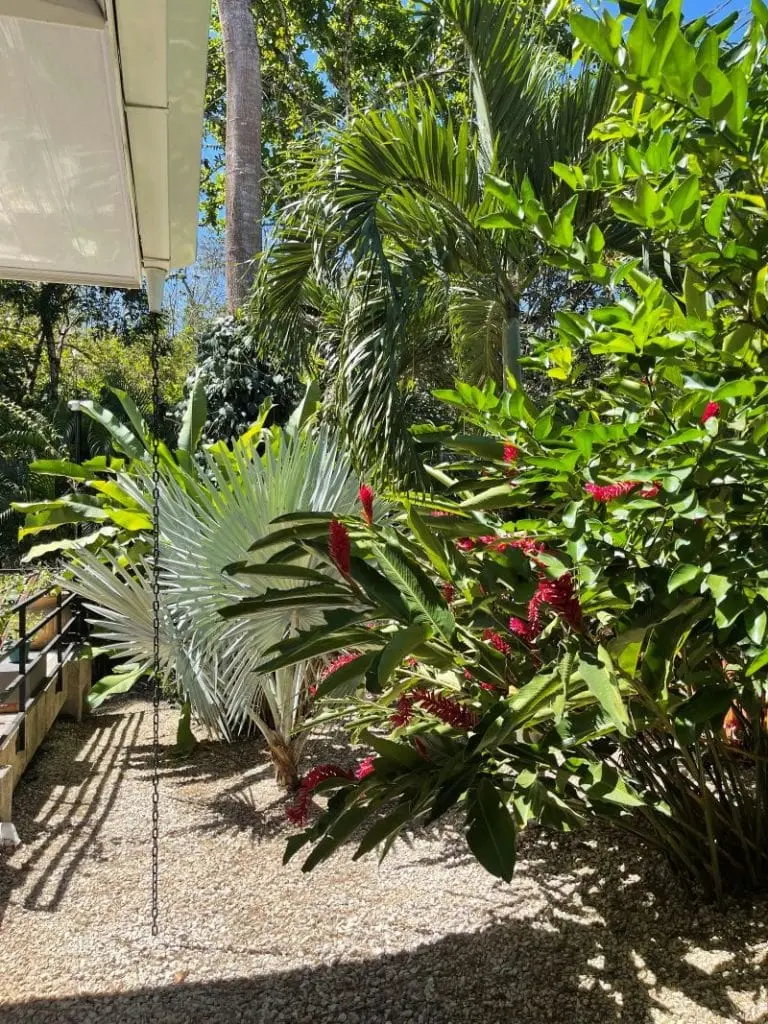Tropical 3BR Jungle Retreat photo 20