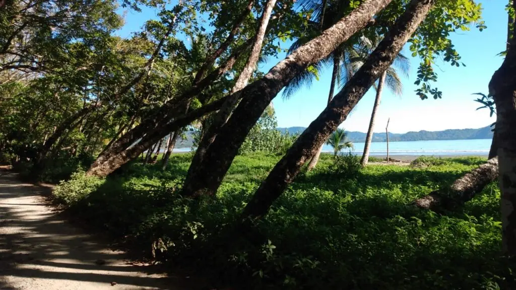 Beachfront Commercial Lot photo 6