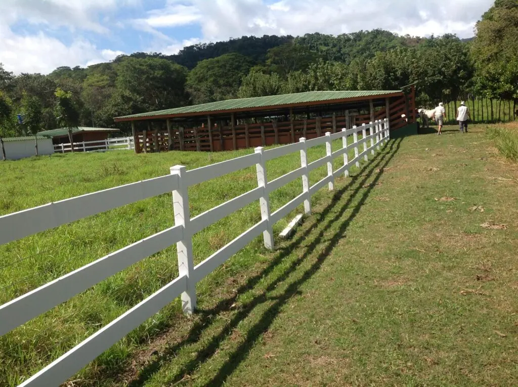 Ocean View Estate in Tambor Hills photo 24