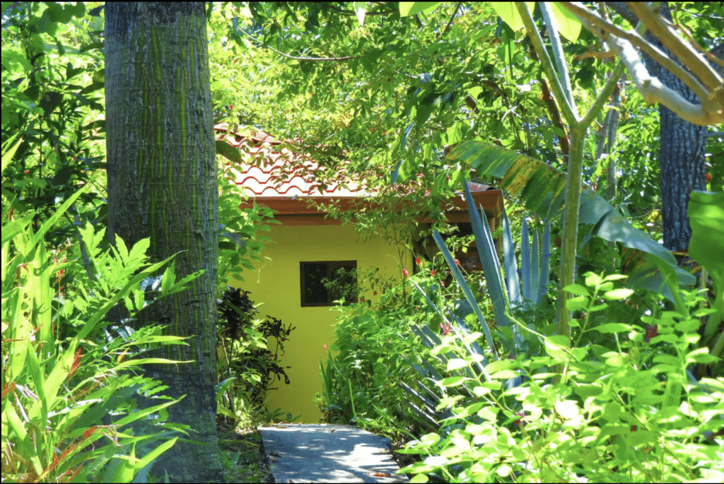 Oceanview House in Montezuma photo 19