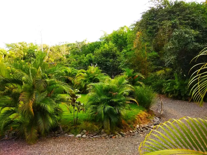 Ocean View Estates in Montezuma photo 32