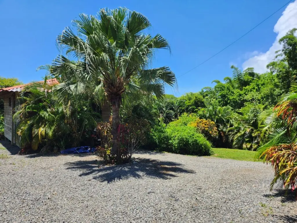 Ocean View Estates in Montezuma photo 34