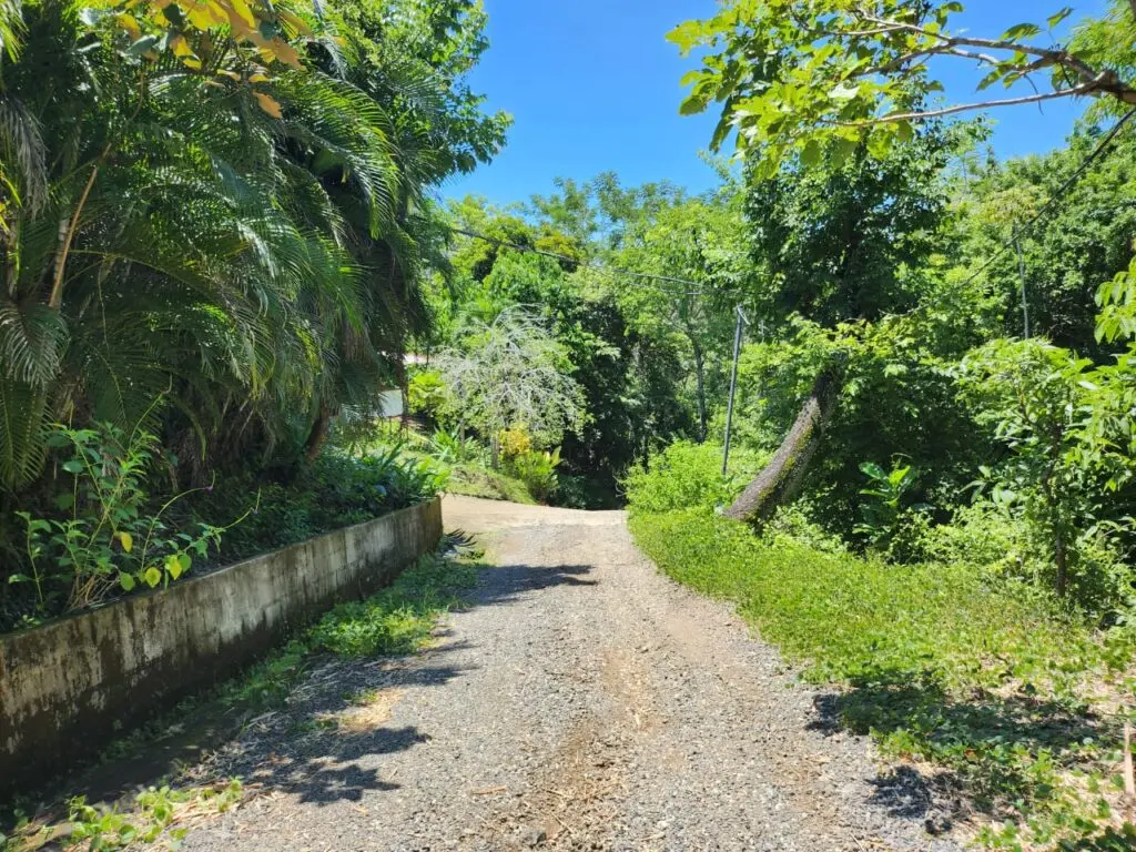 Ocean View Estates in Montezuma photo 35