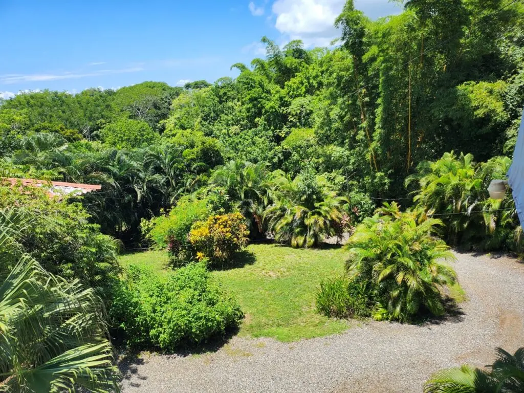 Ocean View Estates in Montezuma photo 33