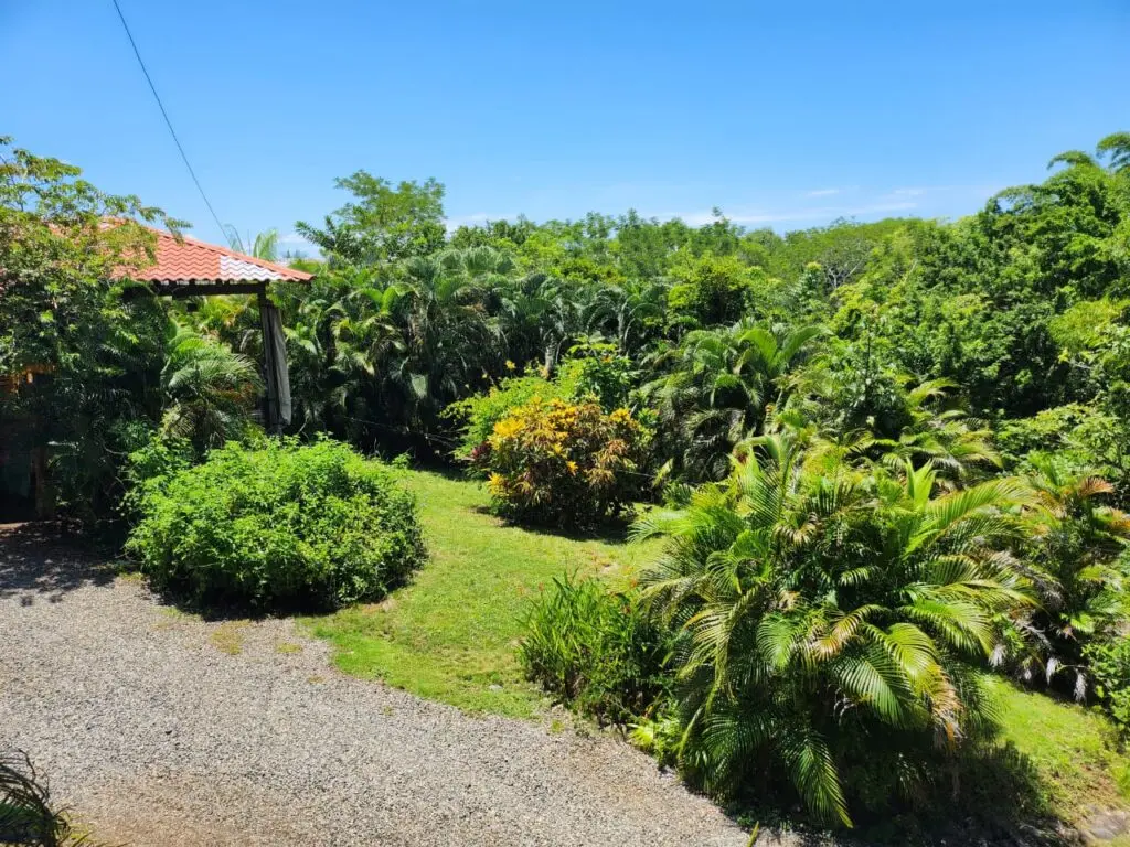 Ocean View Estates in Montezuma photo 31
