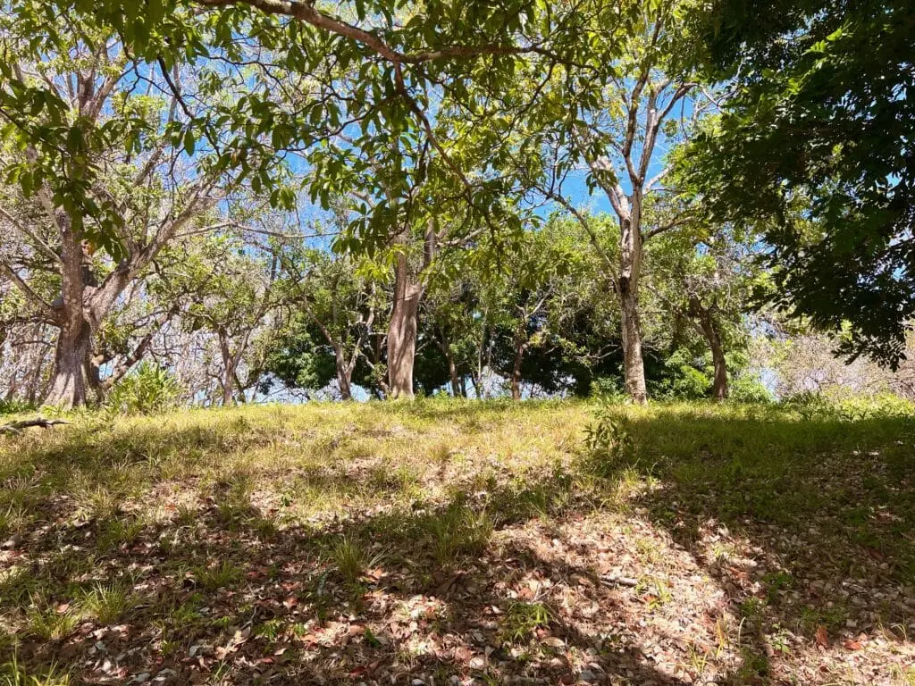 Montezuma Prime Lot photo 20