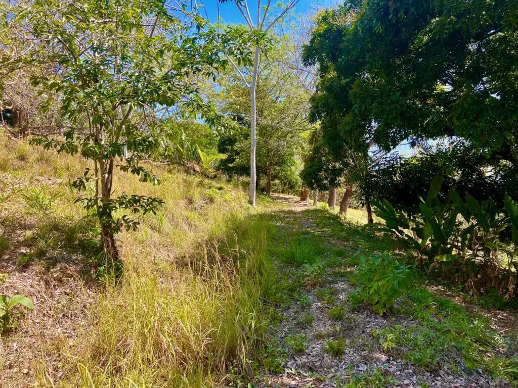 Montezuma Prime Lot photo 3