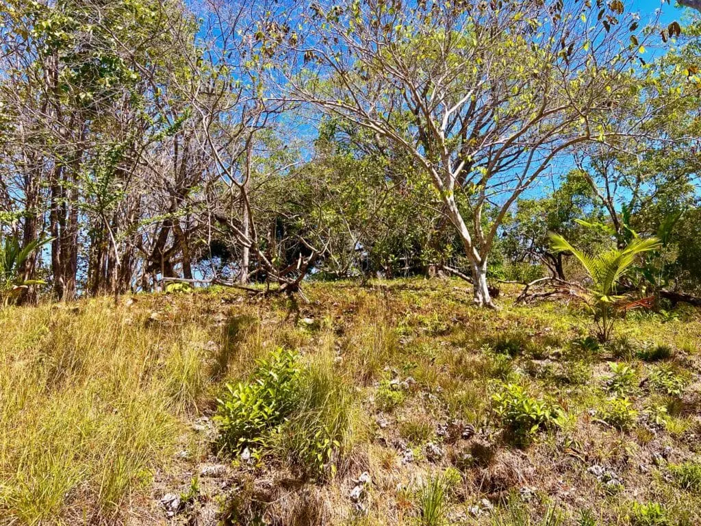 Montezuma Prime Lot photo 4