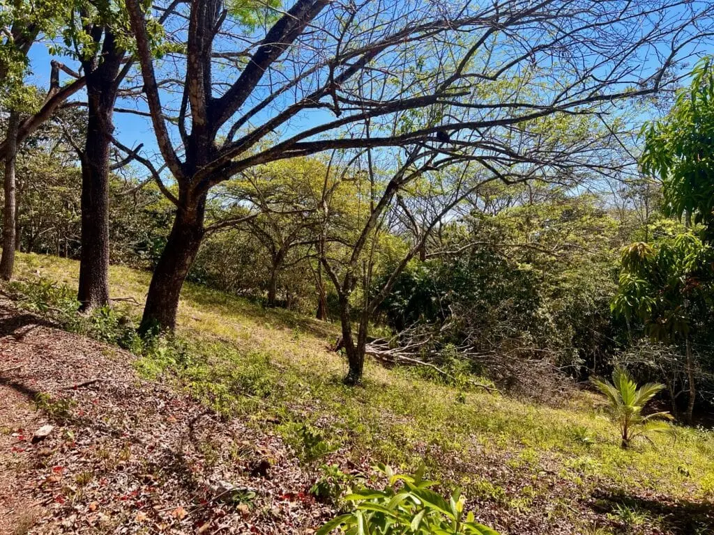 Montezuma Prime Lot photo 5