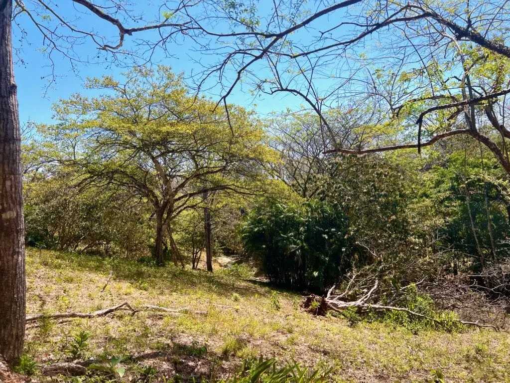 Montezuma Prime Lot photo 6