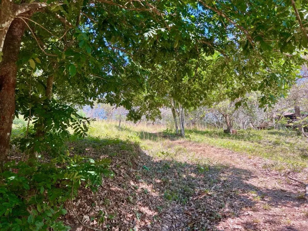 Montezuma Prime Lot photo 8