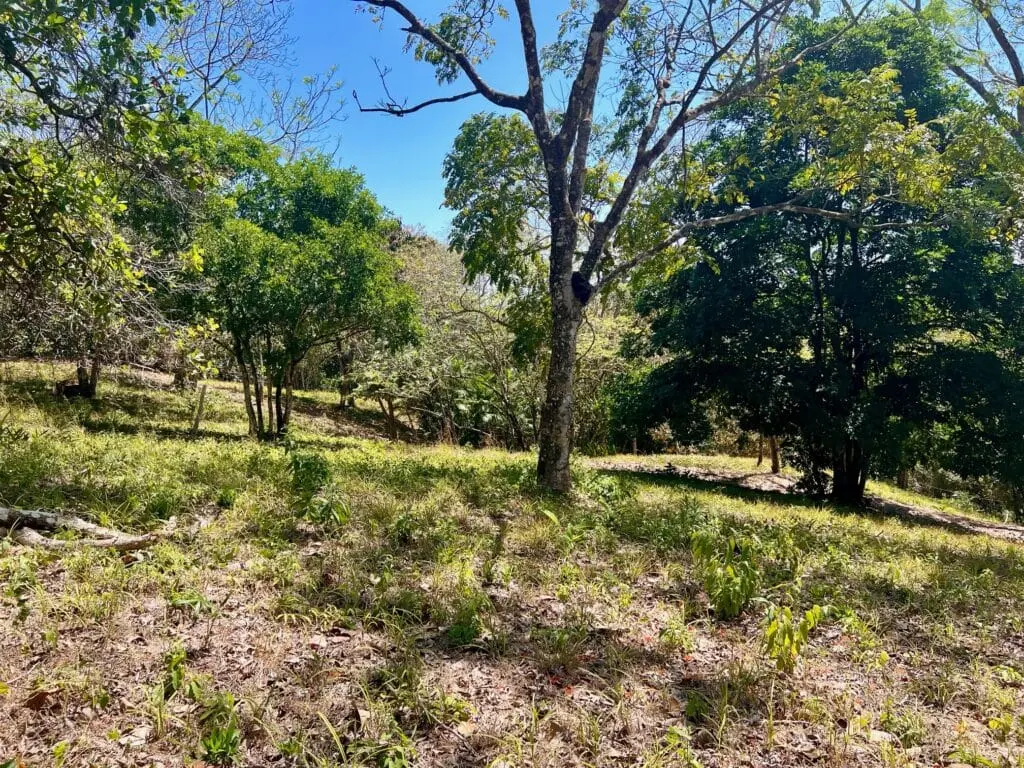 Montezuma Prime Lot photo 9