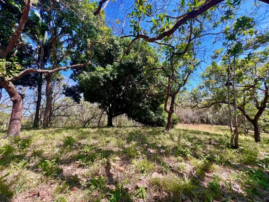 Montezuma Prime Lot photo 10