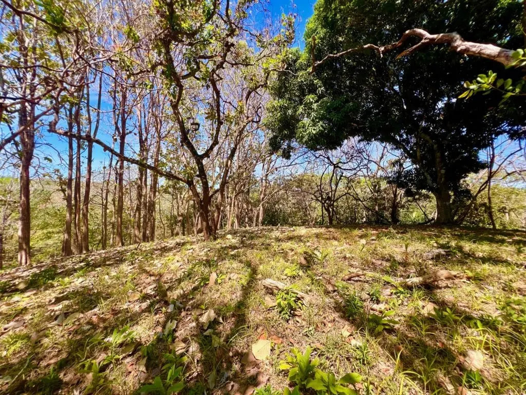 Montezuma Prime Lot photo 11