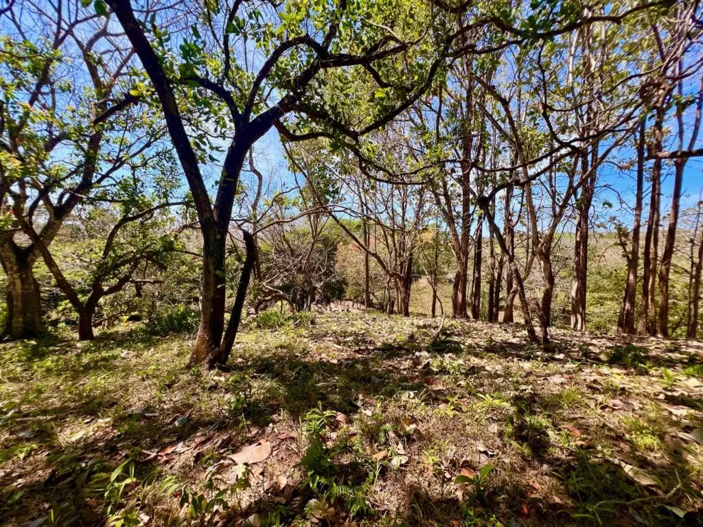 Montezuma Prime Lot photo 12