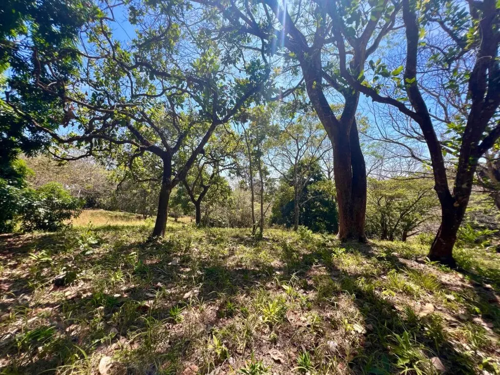 Montezuma Prime Lot photo 13