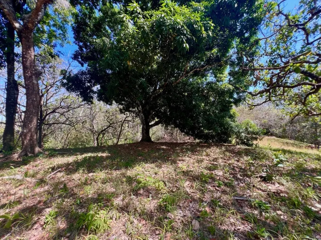 Montezuma Prime Lot photo 14