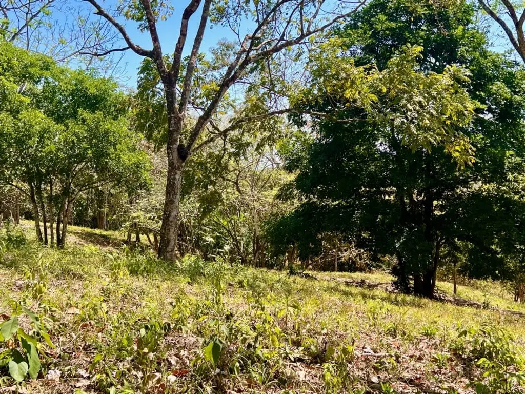 Montezuma Prime Lot photo 16