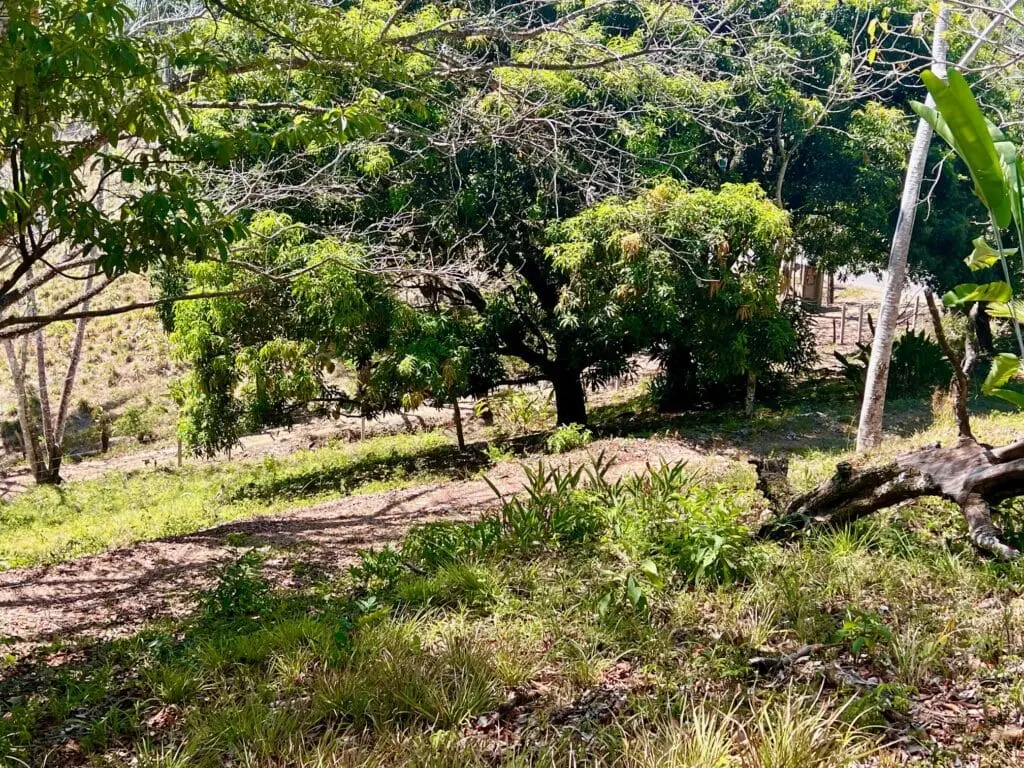 Montezuma Prime Lot photo 17