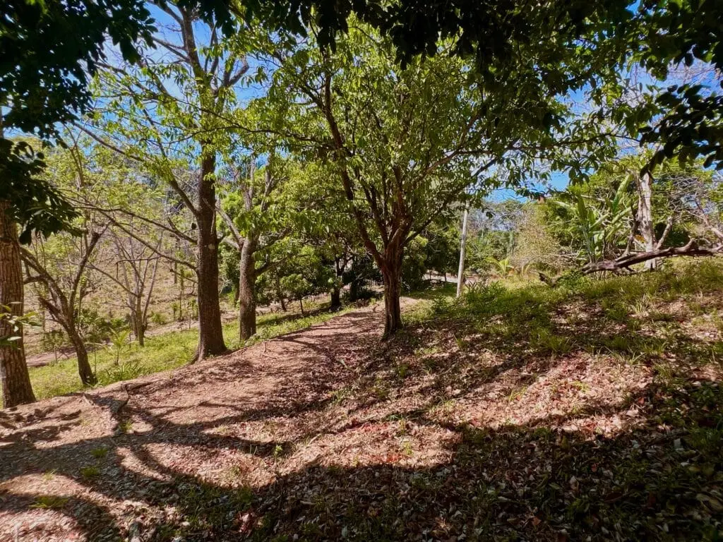 Montezuma Prime Lot photo 18