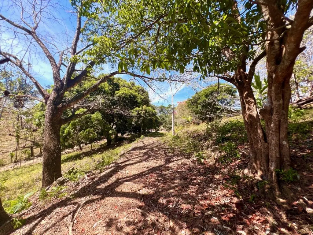Montezuma Prime Lot photo 19