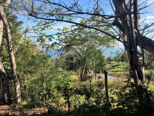 Ocean View Property in Montezuma photo 5