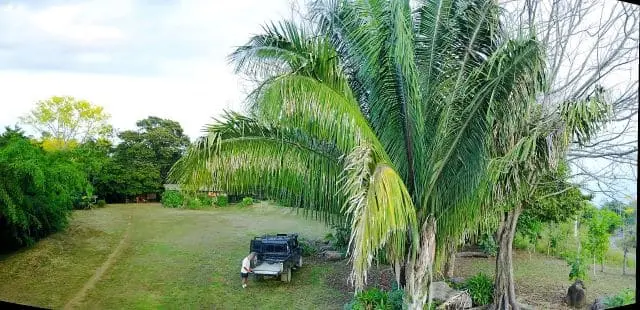 Ocean View Property in Montezuma photo 7